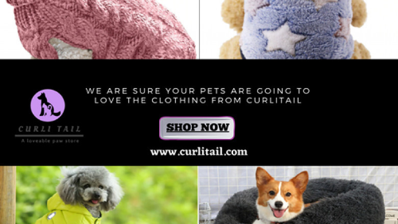 Buy pet accessories | dog clothes for winter