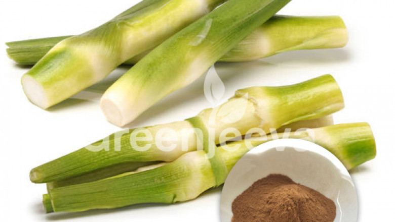 Bamboo Extract Powder