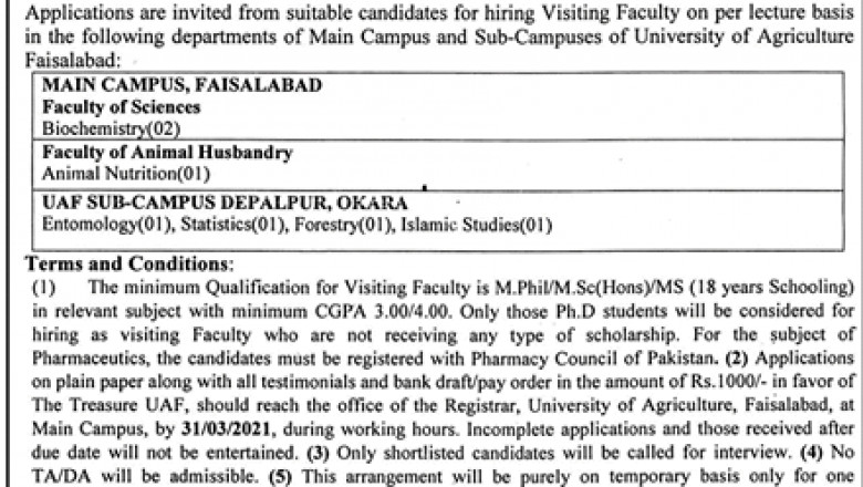 Visiting Faculty Jobs In Faisalabad University Of Agriculture | Jabs.Pk