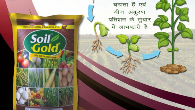 Best Organic Fertilizer For Tomatoes| Bio Logical Fertilizer.