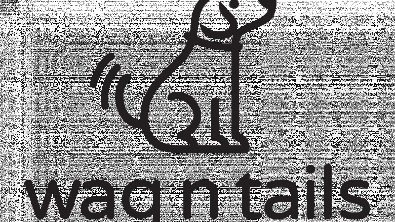 dog care center shelby township