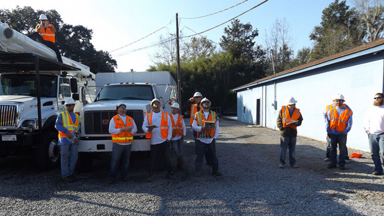 Tree Removal Biloxi MS