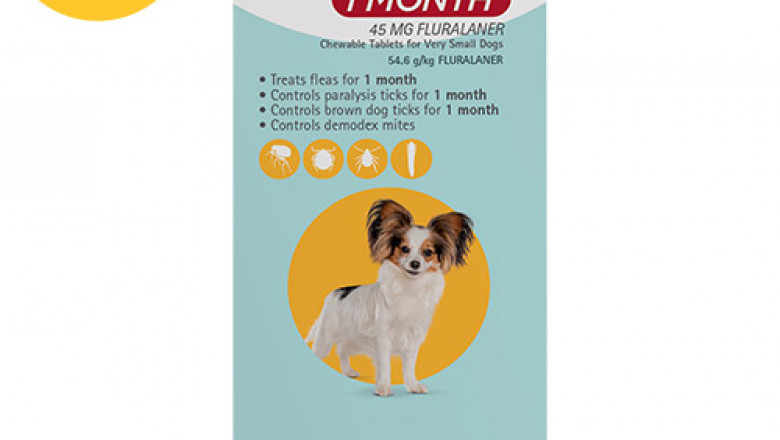 Buy Bravecto 1 Month Chew for Dogs Online - DiscountPetCare