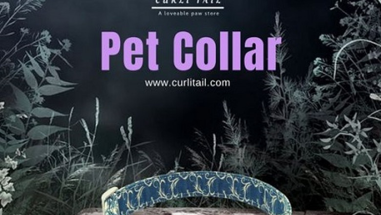 pet accessories online | cat collar