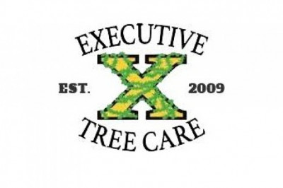 Tree Service In Delaware County PA