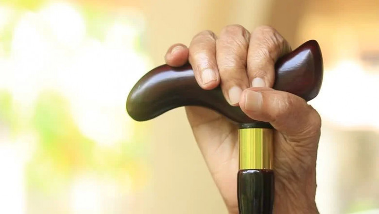 Walking Canes & Hiking Staves – Canes Galore