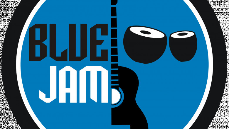 Bluejam guitars- What is the goal?