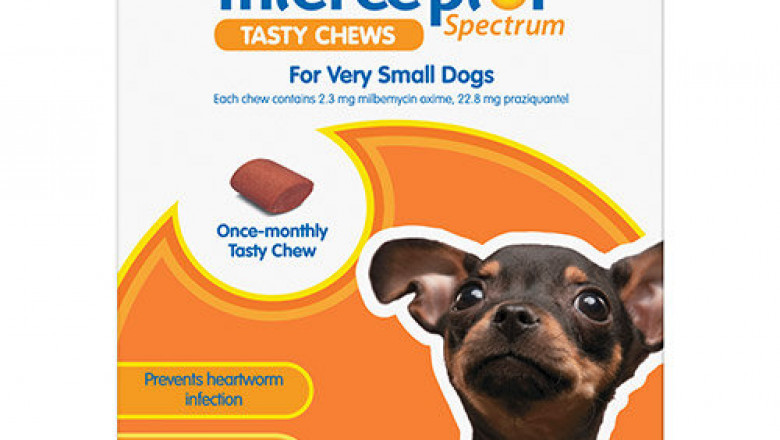 Buy Interceptor Spectrum Tasty Chews For Dogs Online - VetSupply