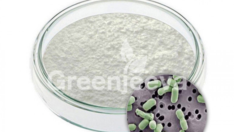 Lactobacillus Casei Powder