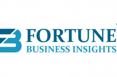 Handbag Market  Size, 2020 Industry Share and Global Demand | 2028 Forecast by Fortune Business Insights™