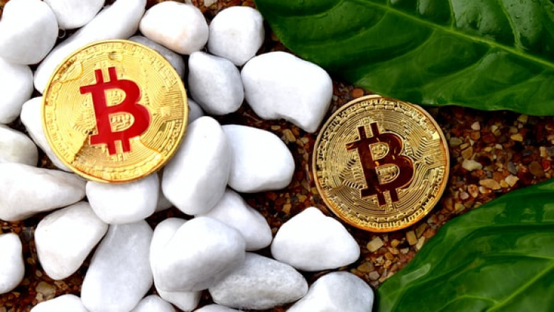 What You Can Expect to Find at SimpleFX?