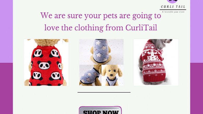Best pet accessories shop | dog harness and leash set