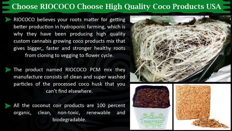 Get the Greatest Benefits of Coco products USA