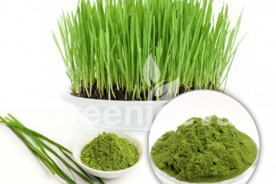 Organic Barley Grass Juice Powder