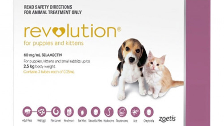 Buy Revolution Flea Treatment For Dogs Online - DiscountPetCare