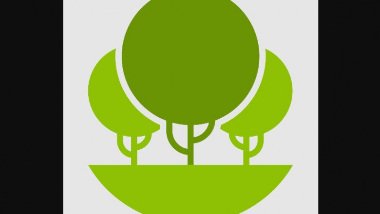 What It's essential to Know Just before Starting Any Landscaping Construction