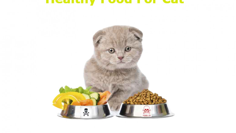 Can Parakeets Eat Bananas? Know About Your Parakeets Healthy Food