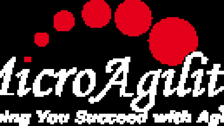 MicroAgility Inc