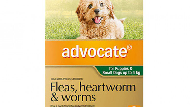 Buy Advocate Heartworm, Flea & Intestinal Worm Control for Dogs Online - DiscountPetCare