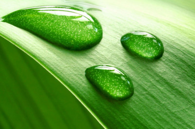 Cosmo Synthetic Paper - Success Stories