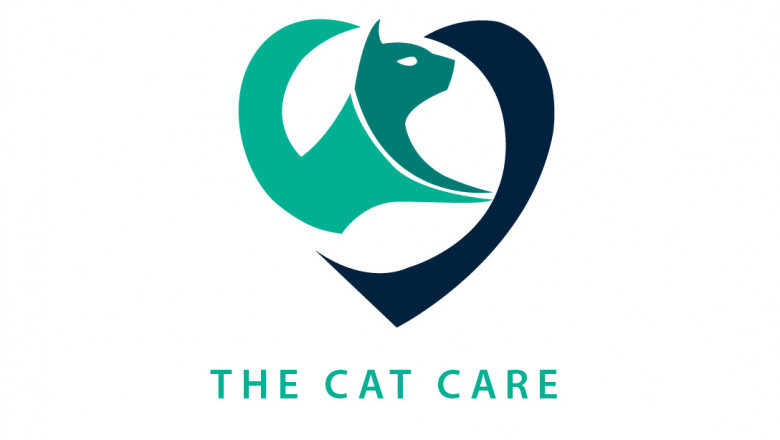 Top 10 Best Dry Cat Foods of 2021