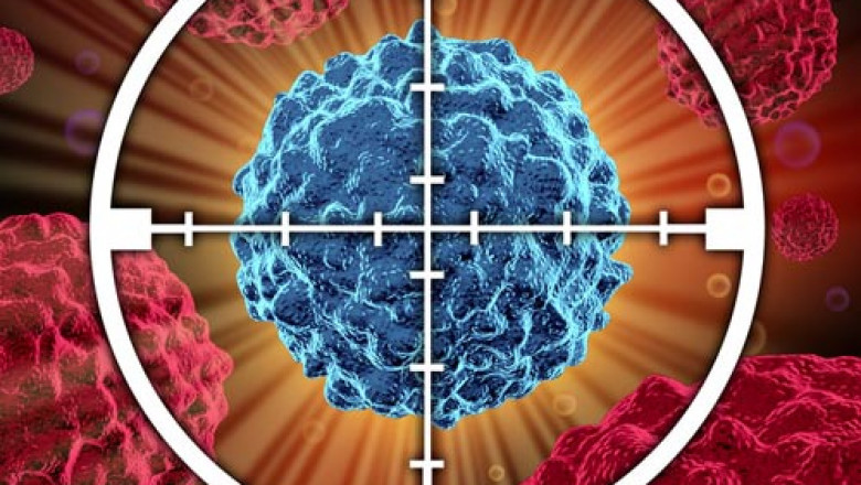 Targeted cancer drugs are the type of cancer treatment that work by targeting cancerous cells without affecting the healthy cells