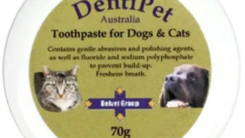 Buy Dentipet Dog & Cat Chicken Flavour Toothpaste Online- VetSupply