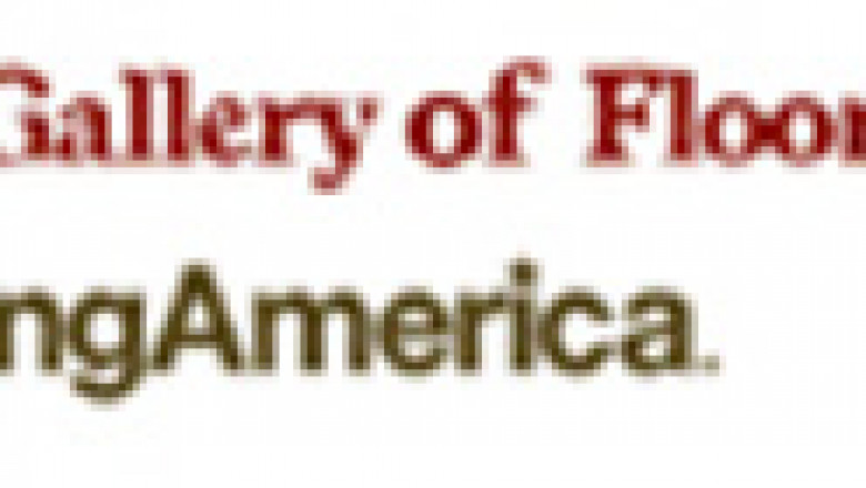 flooringamericaofchandler.com