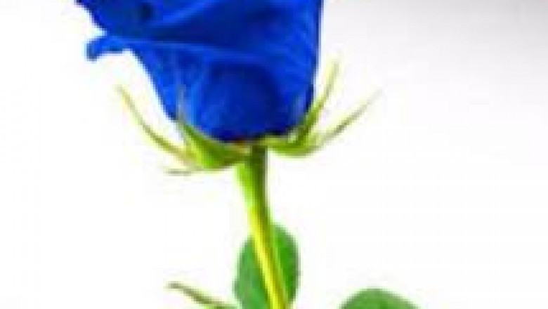 new yorkerotic nuru massage