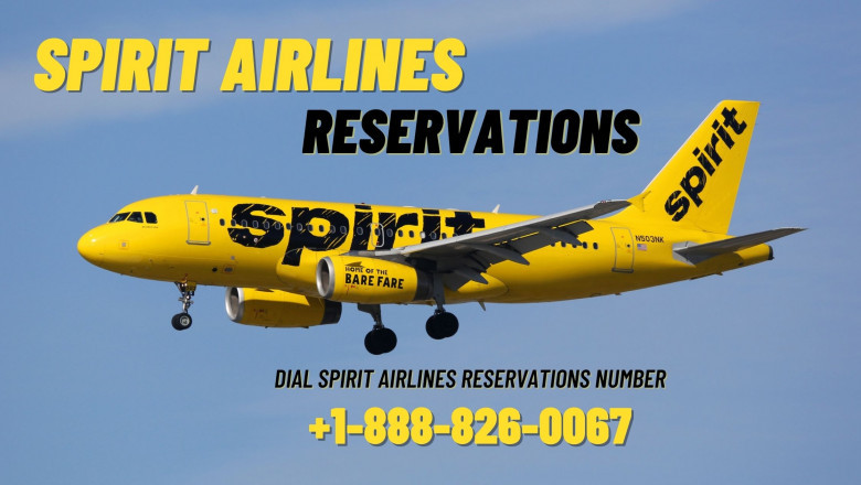 Spirit Airlines Manage Booking