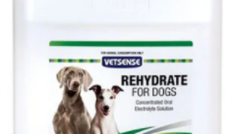 Buy Vetsense Dog/Horse Rehydrate Online - VetSupply