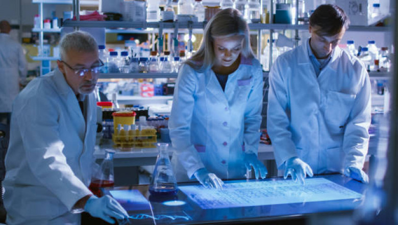 Ibiza - anuncios clasificados de empleos - focus group e investigación