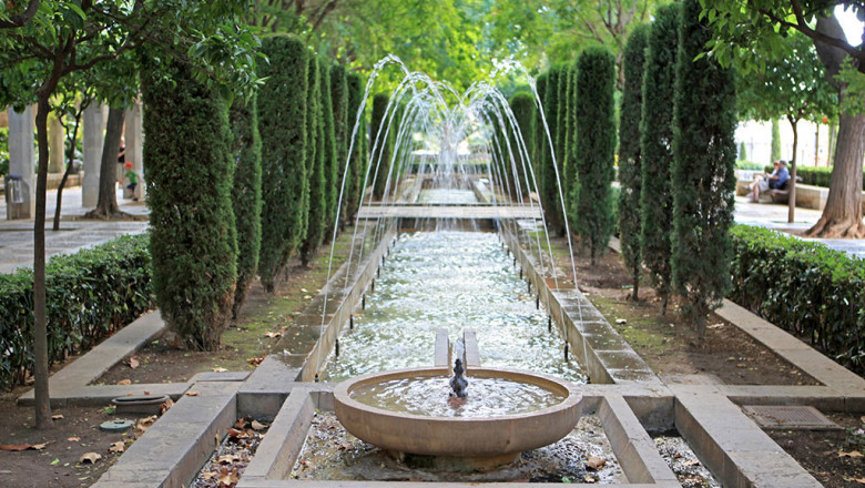 Palma - anuncios clasificados de jardinería, herramientas, productos para el cultivo - jardín y granja