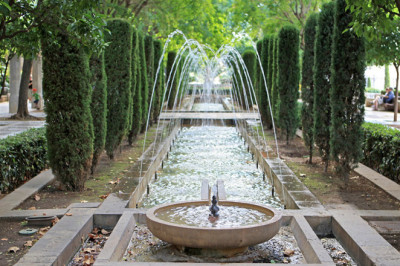 Palma - anuncios clasificados de jardinería, herramientas, productos para el cultivo - jardín y granja