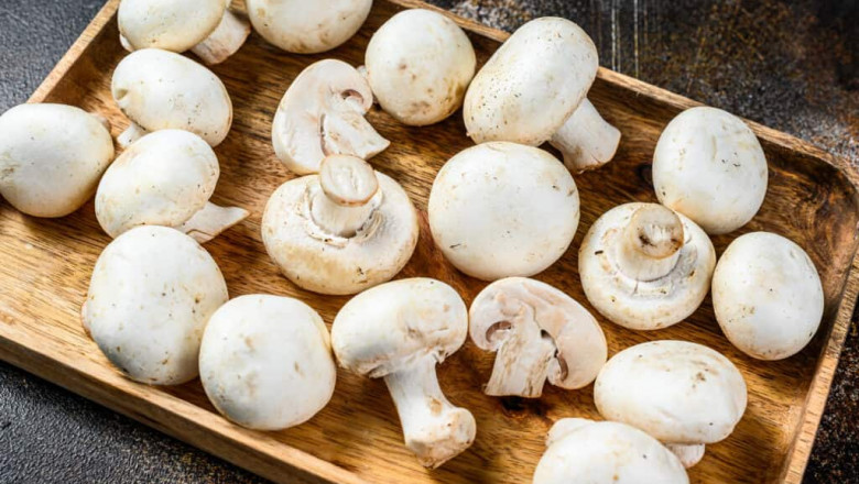 THE BENEFITS OF MUSHROOMS FOR SKINCARE