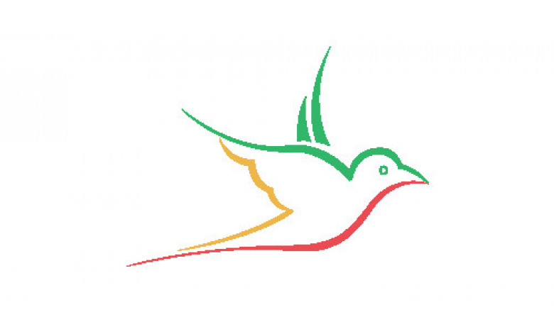 Freelance Web Designer - Top Website Design Services
