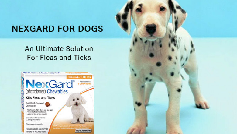 Nexgard for Dogs-An Ultimate Solution For Fleas and Ticks
