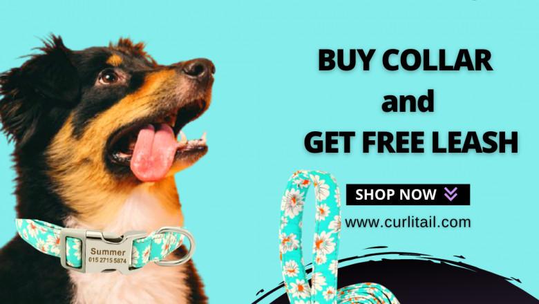 Pet accessories Shop | Dog Harness and Leash Set
