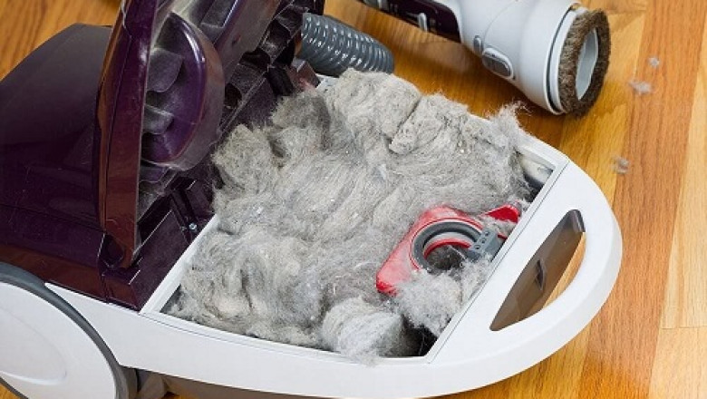 Shark Vacuum Cleaners, You Either Love Them or Hate Them
