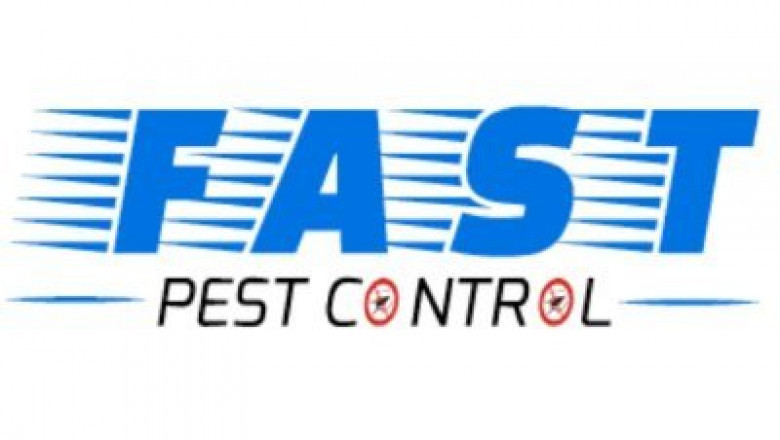 Best Pest Control Hobart