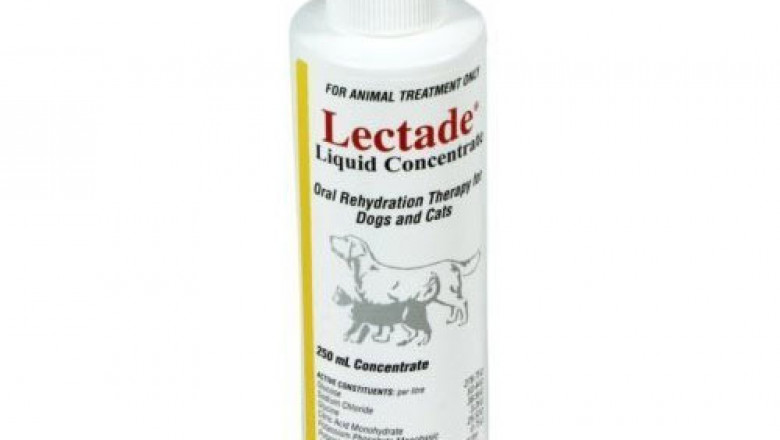 Buy Lectade Liquid Concentrate For Dogs & Cats Online - DiscountPetCare