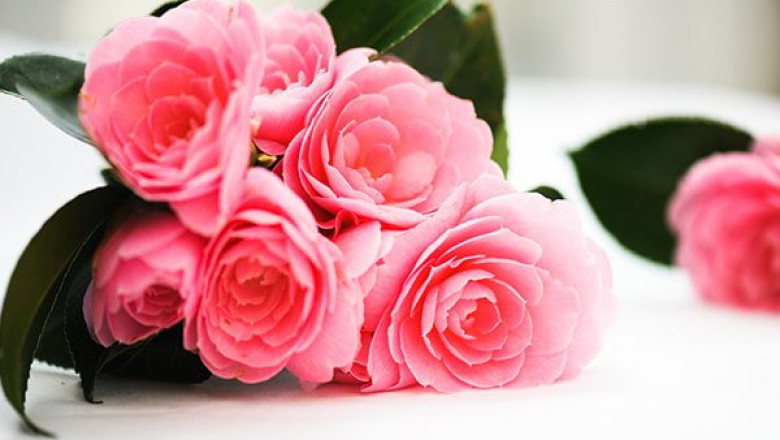 The Power of Romantic Flower Bouquets in Introducing Your Love to Your Partner