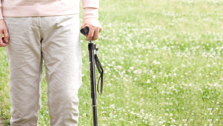 Things to Consider While Buying Walking Sticks