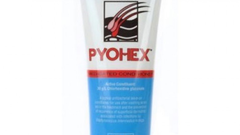 Buy Pyohex Medicated Conditioner For Dogs Online - DiscountPetCare