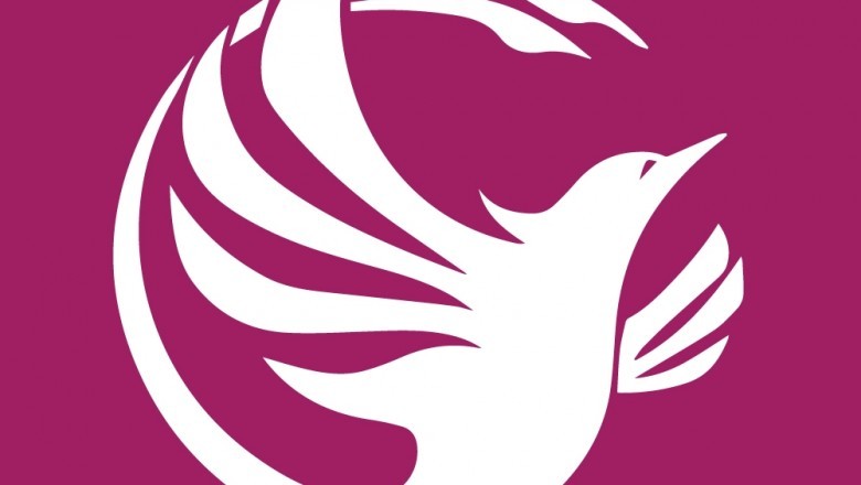 Phoenix Virtual Solutions
