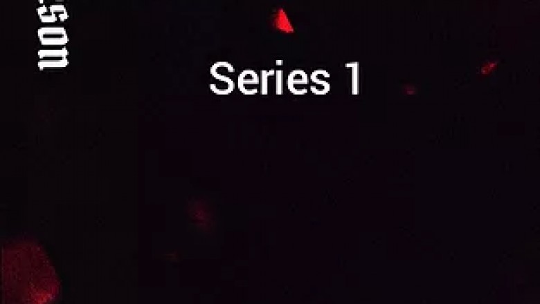 A few Reasons Why We Buy Antique Books