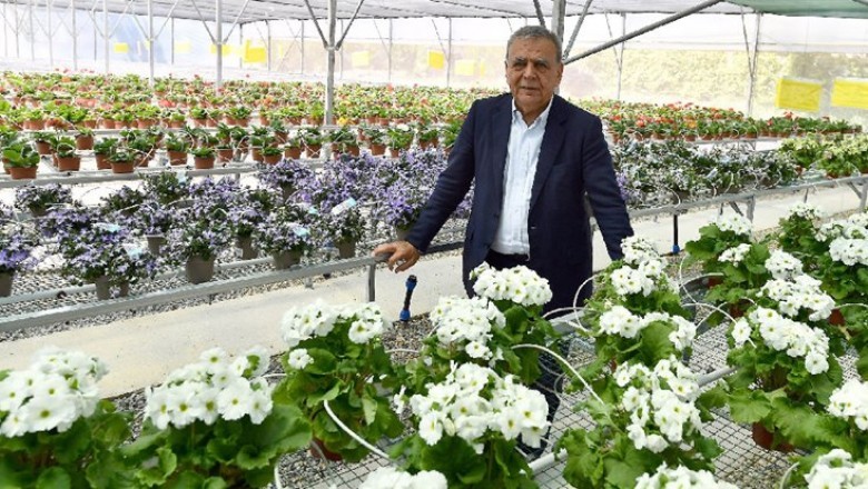Boutique and Quality Flower Designs