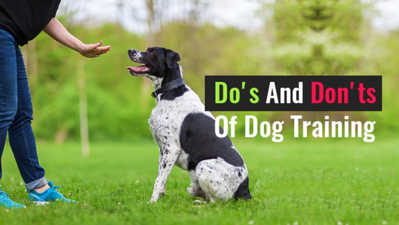 The Do's And Don'ts Of Dog Training - DiscountPetCare