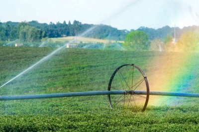 Agricultural Biologicals Market–Sustainable Products