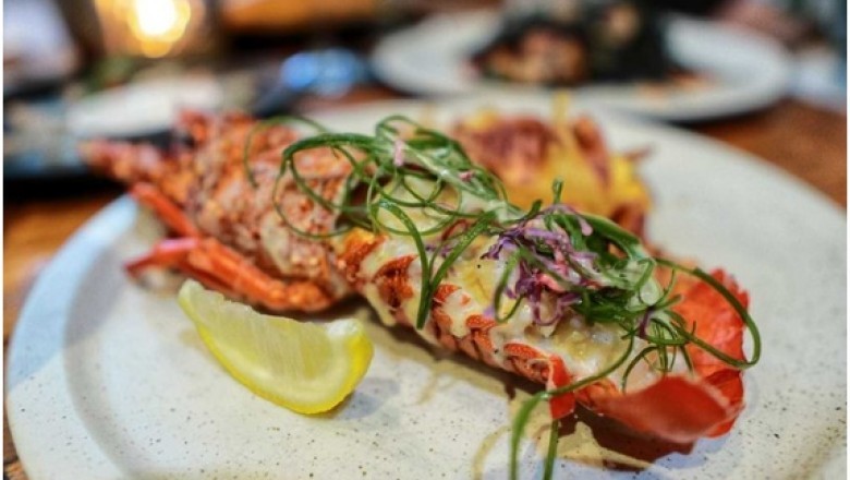 Reasons For Choosing a Seafood Restaurant